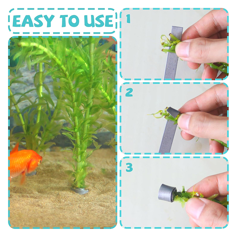 Aquarium Plants For Sale - Новая акция: 10 гибких складных утяжелителей