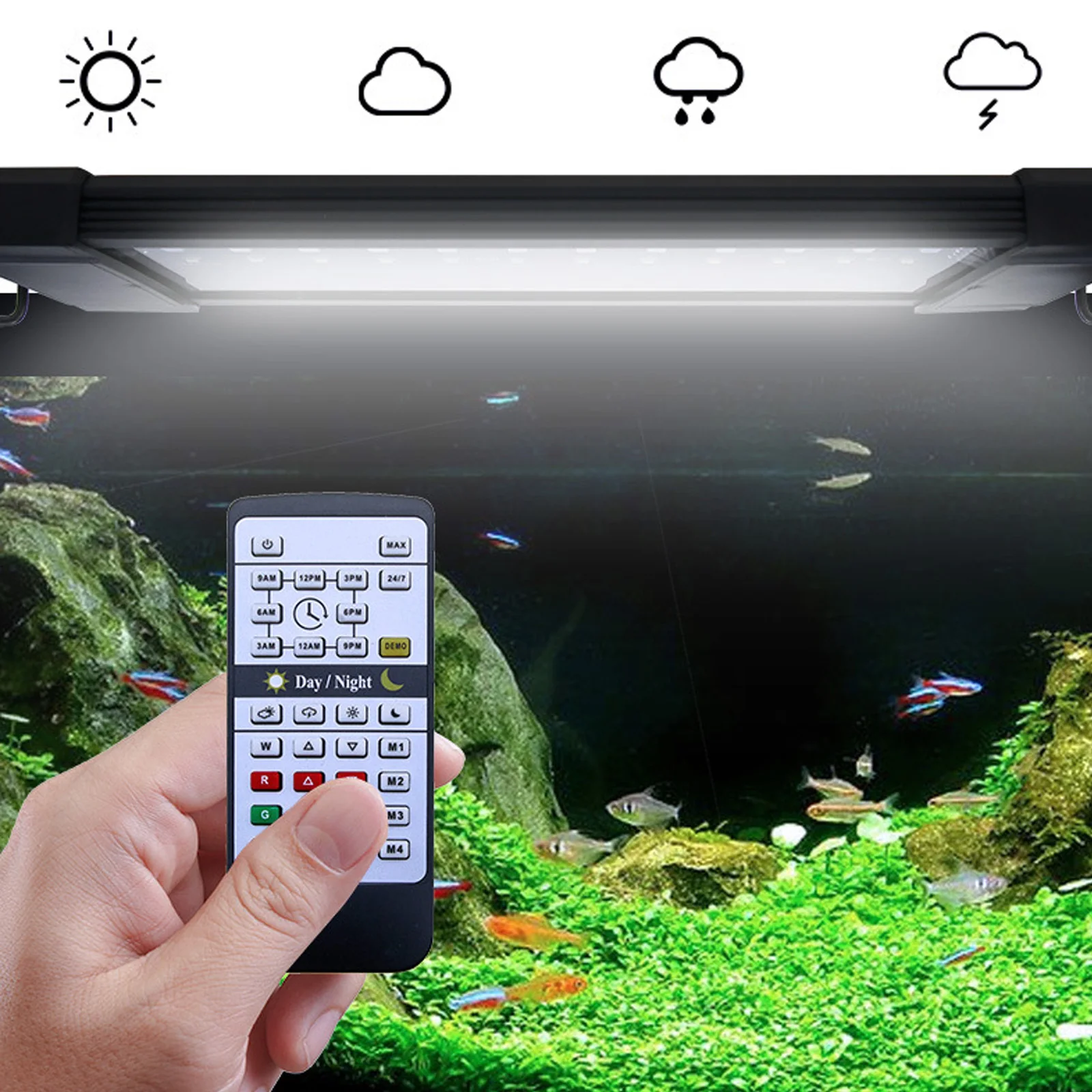 Planted Aquarium Hours - Светильник Liweida 24 часа: натуральный свет,