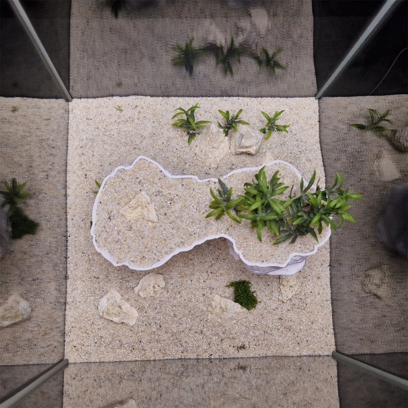 3D-печатная корзина для аквари – обзор и цена Aquarium Planted Tank Soil