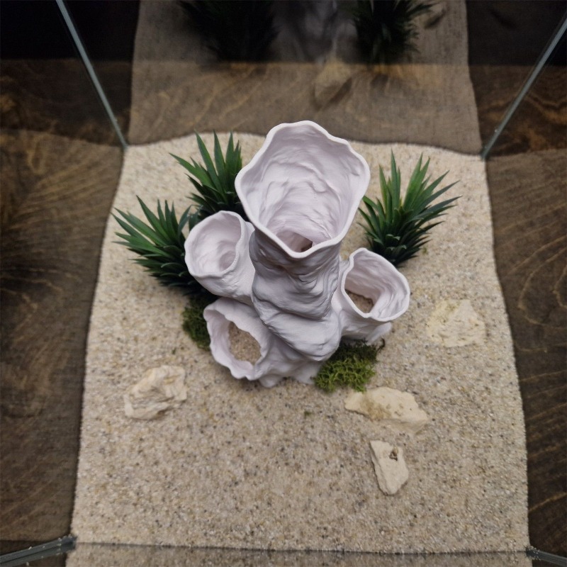 Горячая распродажа: 3D-печатны – обзор и цена Aquarium Plants For Sale