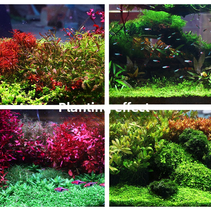 SYSENCIAGA посаженная аквариум – обзор и цена Aquarium Planted Tank Soil