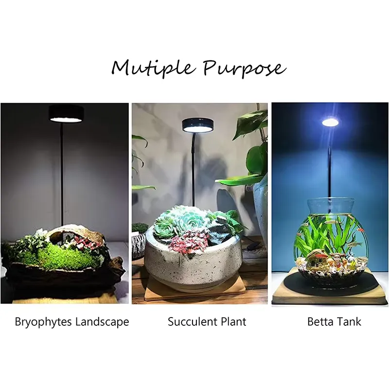 Светодиодная лампа полного спе – обзор и цена Planted Aquarium Hours