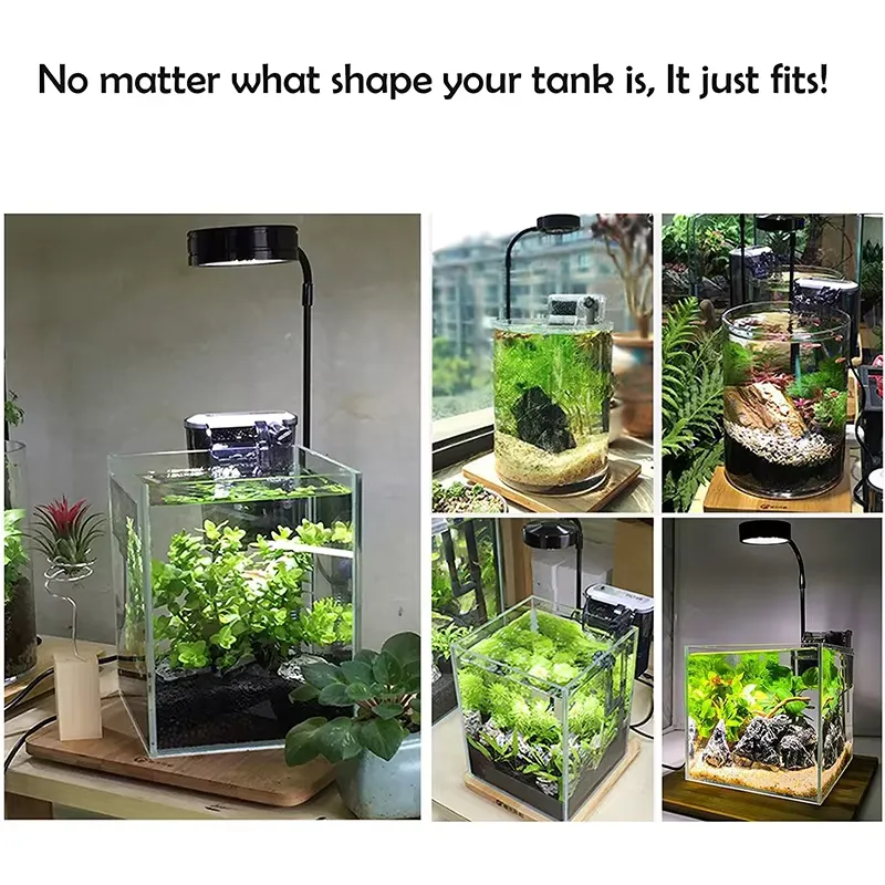 Светодиодная лампа полного спе – обзор и цена Planted Aquarium Hours