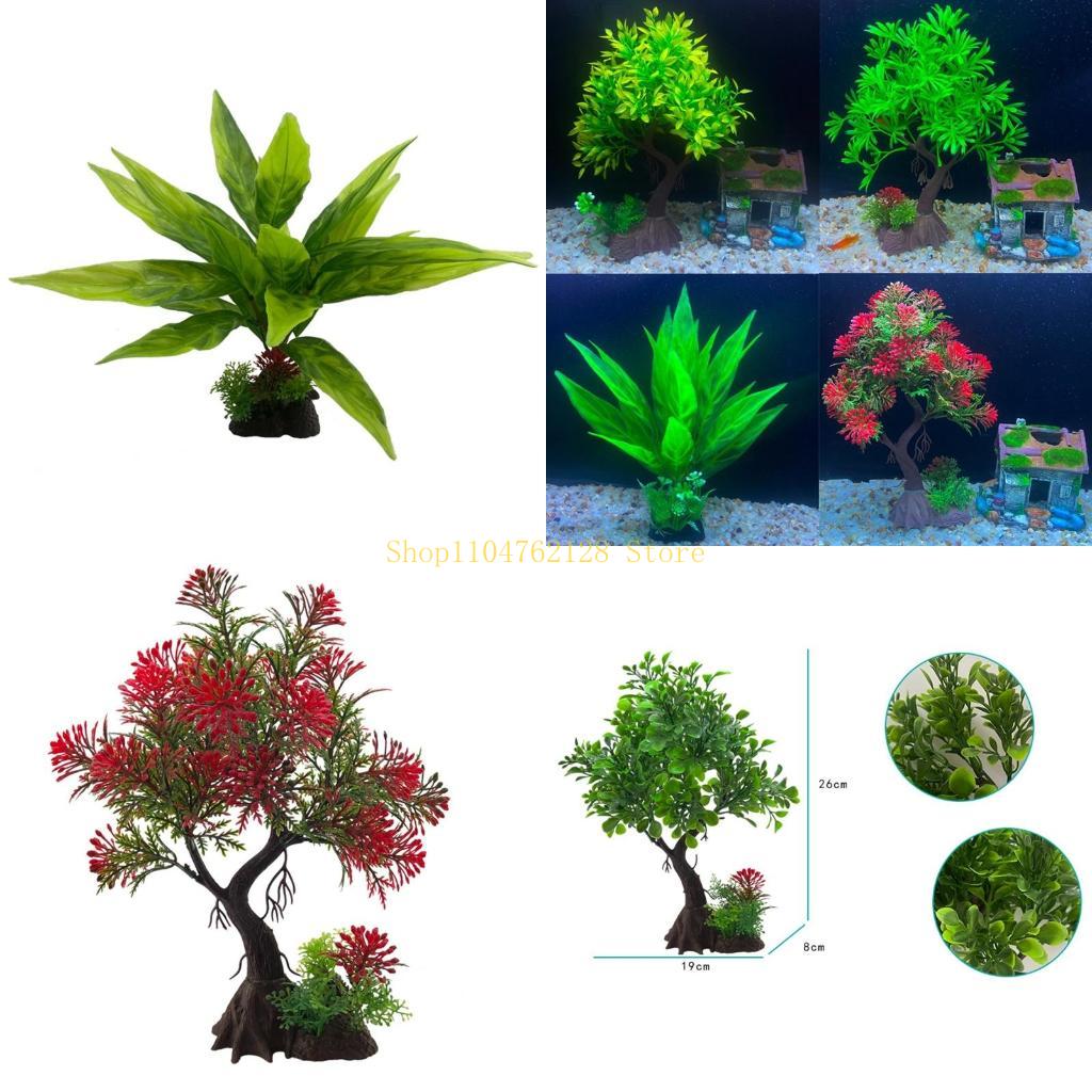 Аквариумные водные растения, п – обзор и цена Aquarium Plants For Sale