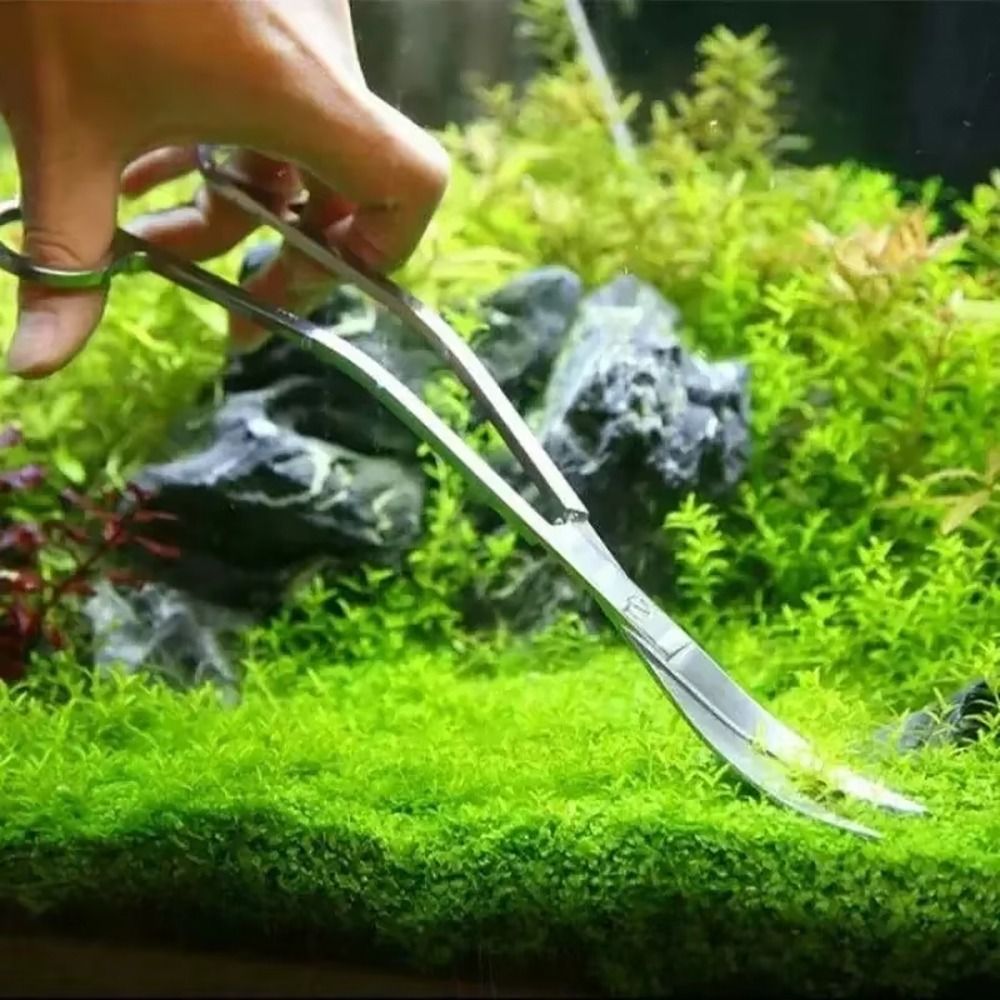 1 шт. Ножницы для аквариума из – обзор и цена Planted Aquarium Tools
