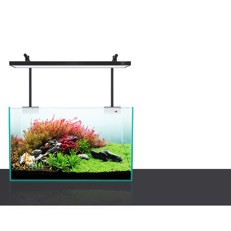 Светодиодное освещение 60 см 8 – обзор и цена Aquarium Plants For Sale