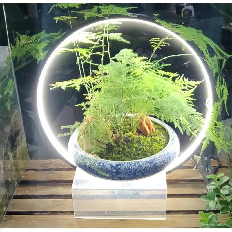 Настольная светодиодная лампа  – обзор и цена Planted Aquarium Hours