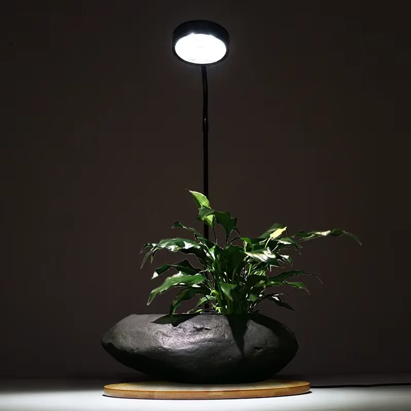 Настольная декоративная лампа  – обзор и цена Planted Aquarium Hours