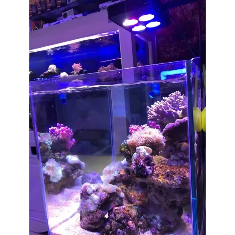 Gako A052 52W: Хит продаж – св – обзор и цена Aquarium Plants For Sale