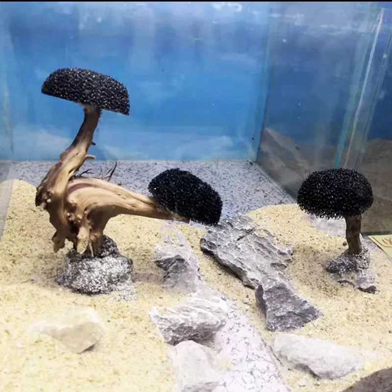 Растение аквариума с мхом, укр – обзор и цена Planted Aquarium Without Fish